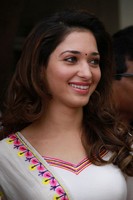 Tamanna Latest Pics
